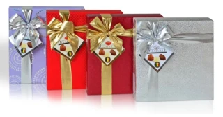 Belgické pralinky DELAFAILLE 200 g - Luxusní belgické pralinky - DÁREK s mašlí - MIX BAREV