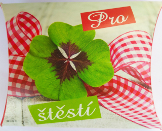 Čokoládové mini pralinky 46 g polštářek PRO ŠTĚSTÍ- AKCE !!! DMT: 11/2025