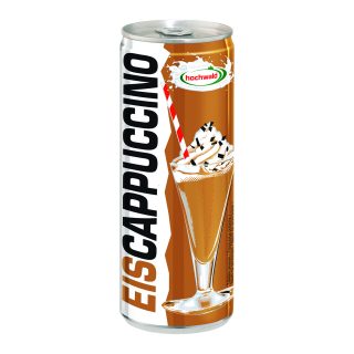 Ledová káva Hochwald 250ml EISCAPPUCCINO