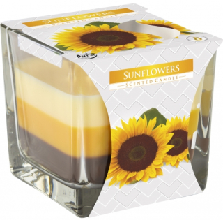 Bispol 3barevná svíčka Sunflowers - slunečnice